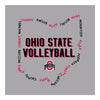 Ohio State Buckeyes Volleyball Team Roster Tee - In Gray - Front Art