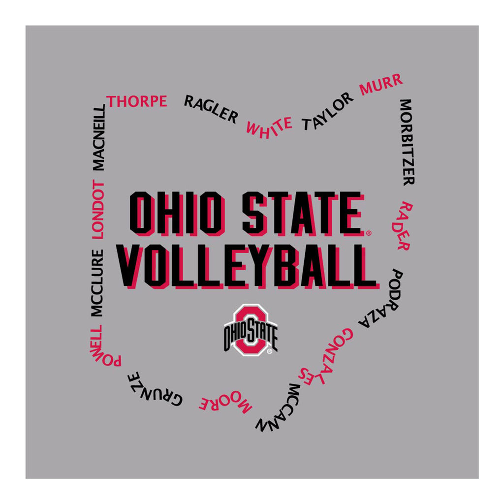 Champion Youth Ohio State Buckeyes Volleyball 2023 Team Roster Tee / Medium