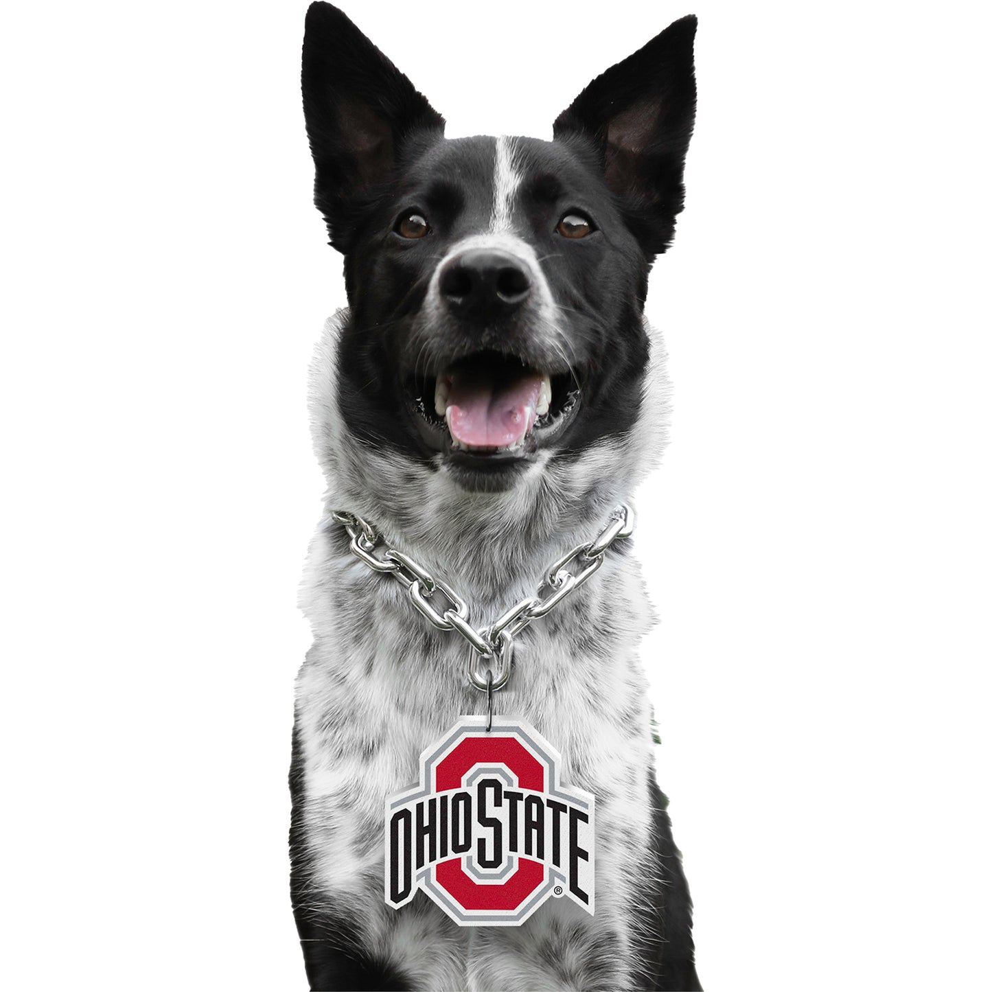Ohio State Buckeyes Pet Chain - Alternate Model View
