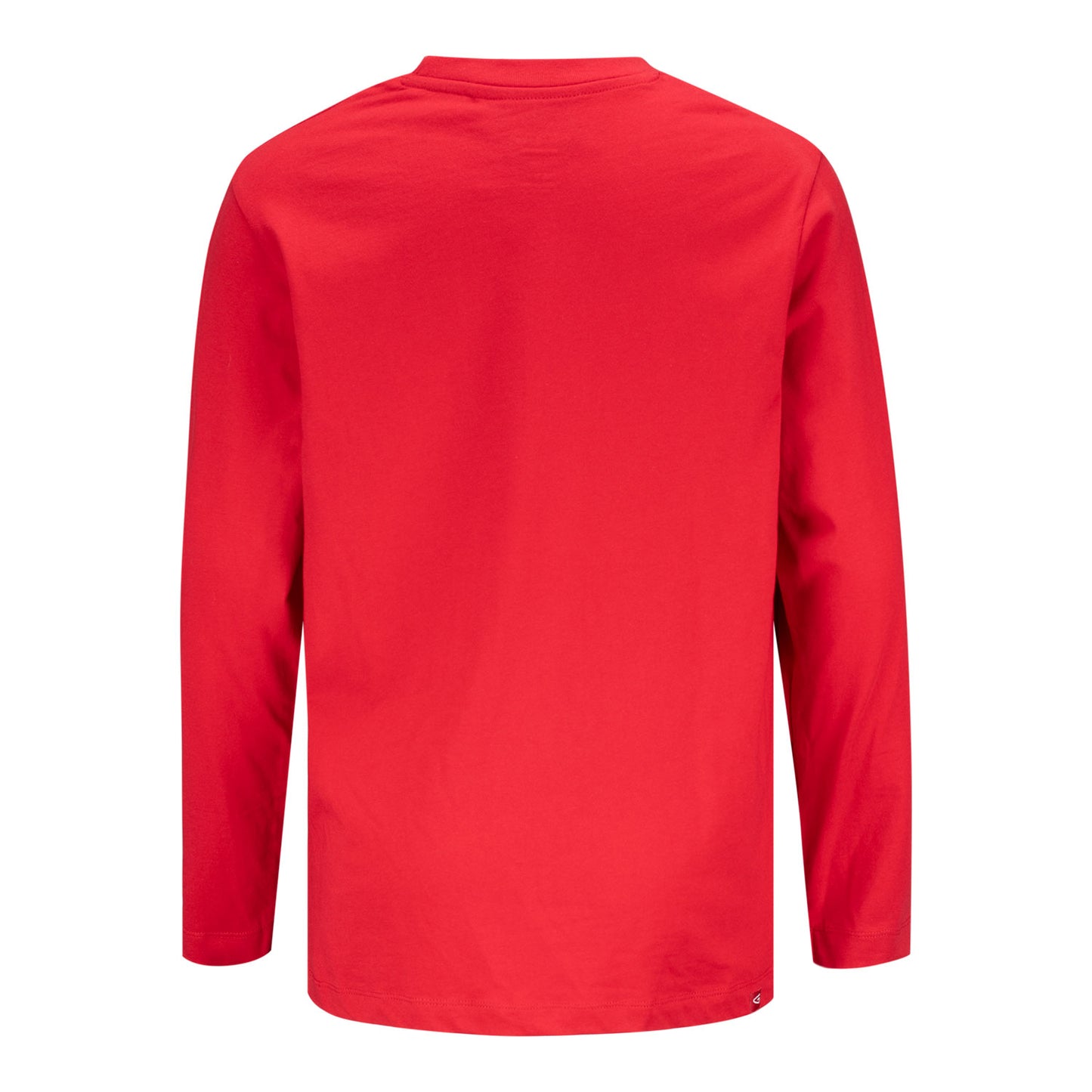Ohio State Youth Long Sleeve Baseball Tee - Back