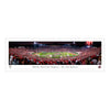 Ohio State Buckeyes Unframed Rose Bowl Champs Panorama