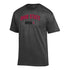 Ohio State Buckeyes Champion Alumni Gray T-Shirt - Front View