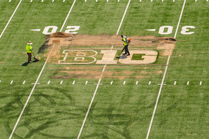 Ohio Stadium Official "B" BIG10 12'x15' ft Turf Cutout