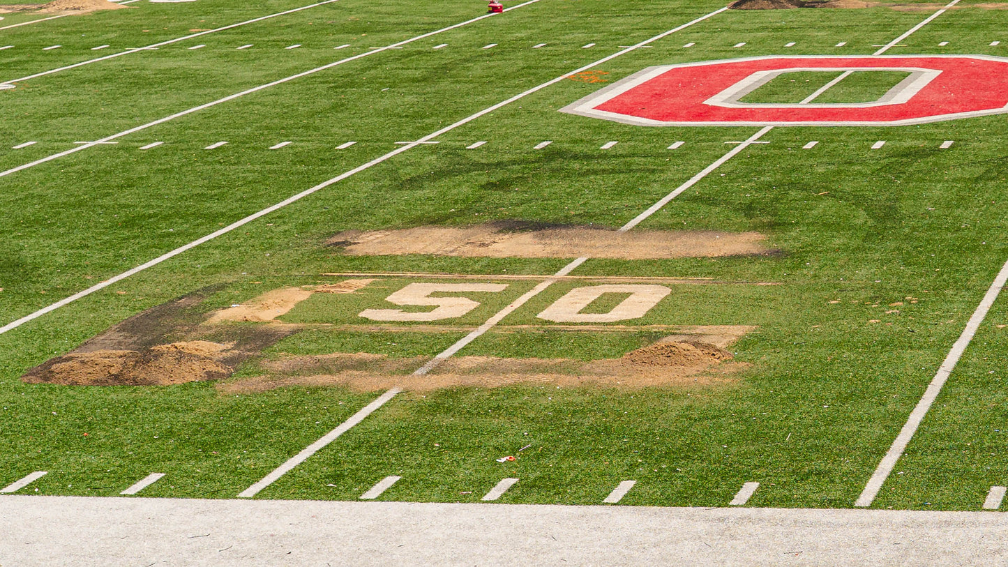 Ohio Stadium Official 50 Yard Line 6'x11' ft Turf Cutout