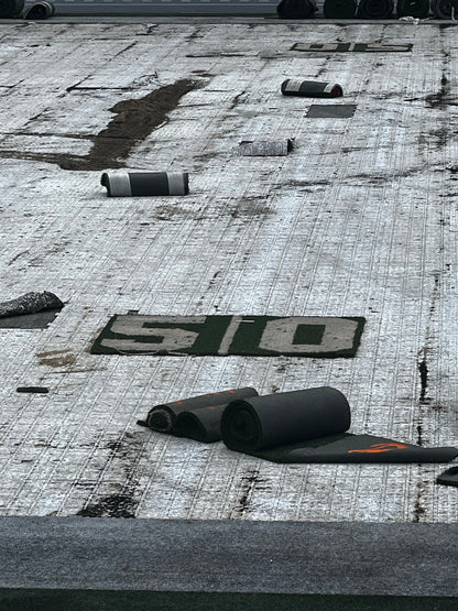 Ohio Stadium Official 50 Yard Line 6'x11' ft Turf Cutout