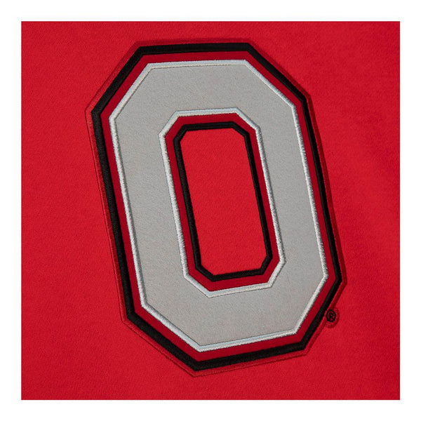 Ohio State Buckeyes Team Origins 100th Fleece Hooded Sweatshirt