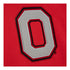 Ohio State Buckeyes Team Origins 100th Fleece Hooded Sweatshirt