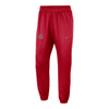 Ohio State Buckeyes Nike Spotlight Basketball Scarlet Pants