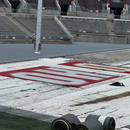 Ohio Stadium Official Endzone O 22.5'x11' ft Turf Cutout