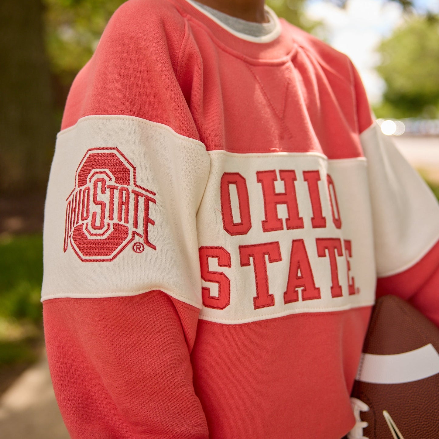 Youth Ohio State Buckeyes Colorblock Ribbed Crewneck