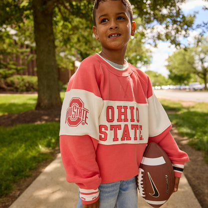Youth Ohio State Buckeyes Colorblock Ribbed Crewneck