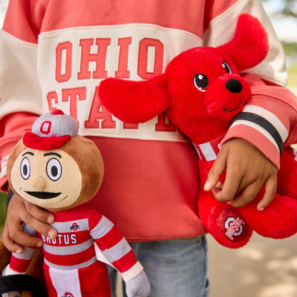 Youth Ohio State Buckeyes Colorblock Ribbed Crewneck