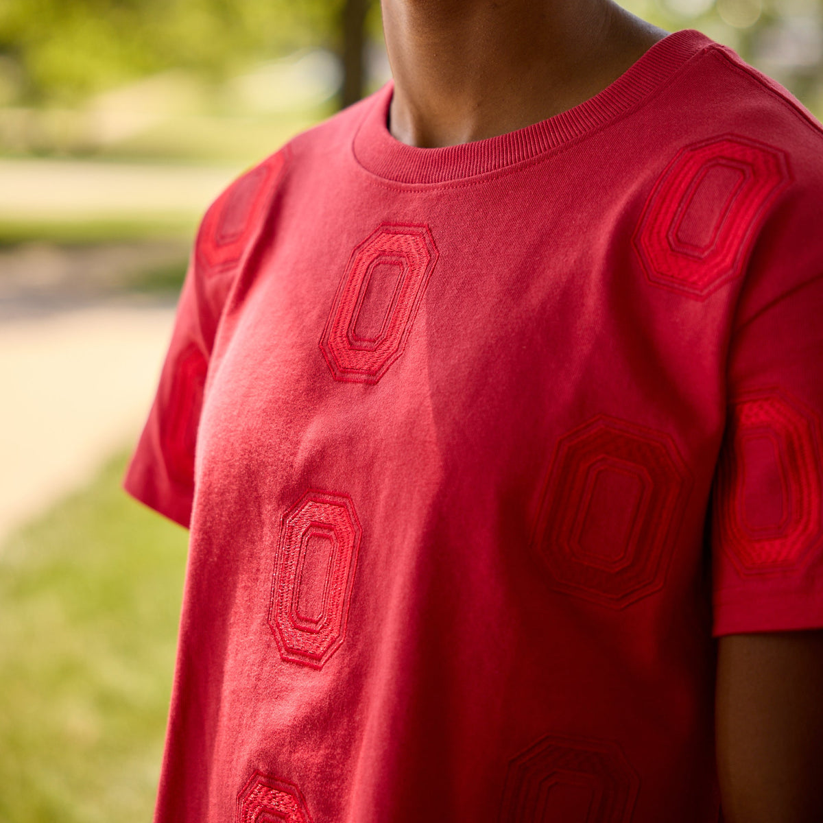 Ladies Ohio State Buckeyes Ritter Repeat Cropped Tee