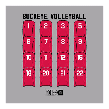 Ohio State Buckeyes Volleyball Team Roster Tee - In Gray - Back Art