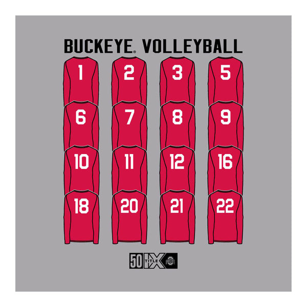 Ohio State Buckeyes Volleyball Team Roster Tee - In Gray - Back Art