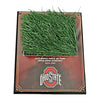 Ohio State Buckeyes Turf Plaque with a Piece of Authentic Ohio Stadium Turf - Front View