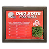 Ohio State Buckeyes 2014-2021 Records Turf Frame - Front View
