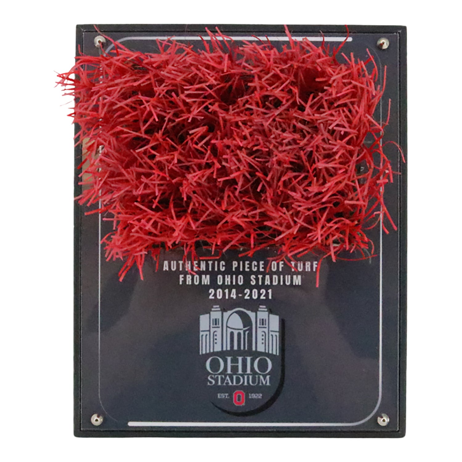 Ohio state buckeye collectables buy