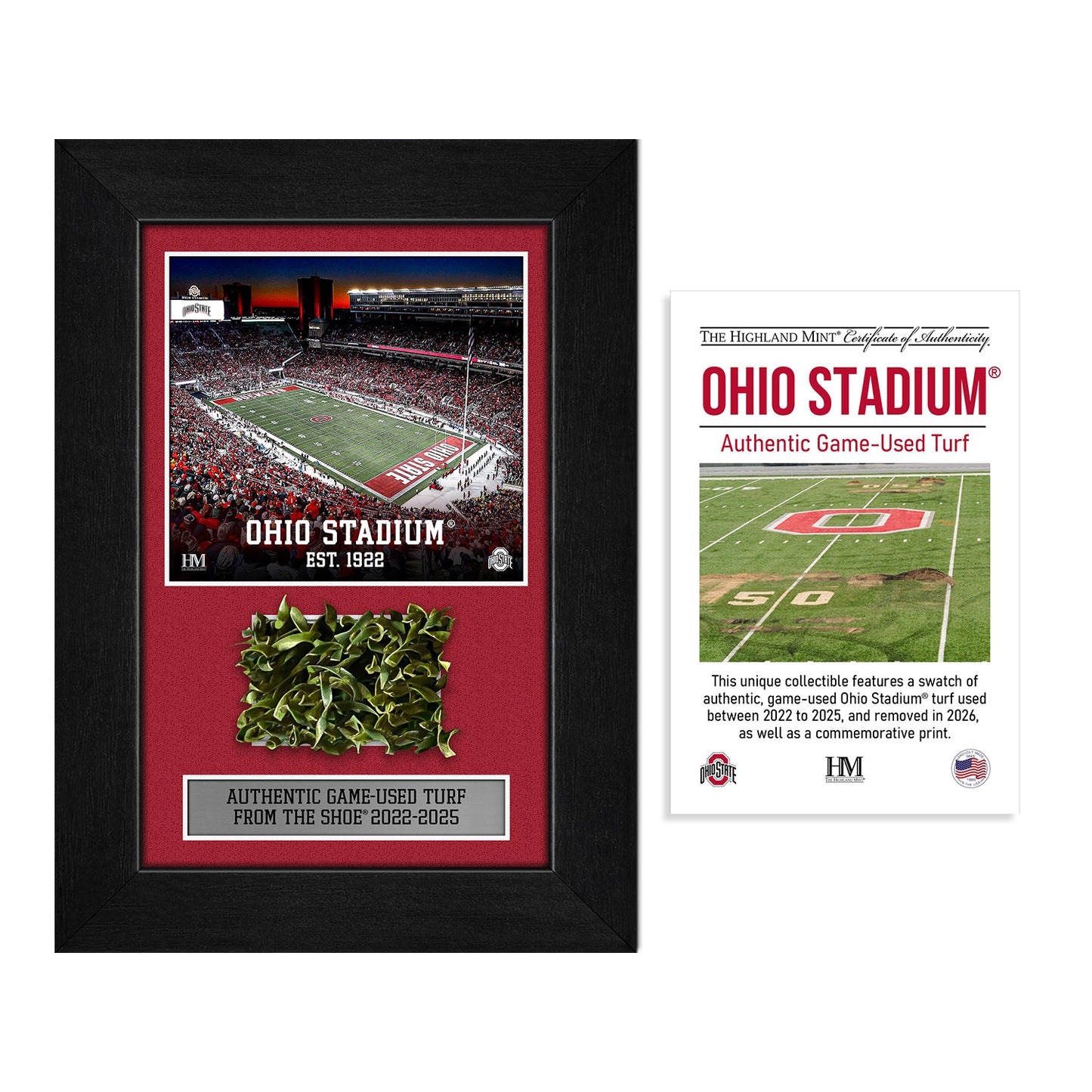 Ohio State Game-Used Turf M-Series Frame - full view