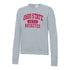 Ladies Ohio State Buckeyes Powerblend® Wordmark Gray Crew Sweatshirt - In Gray - Front View
