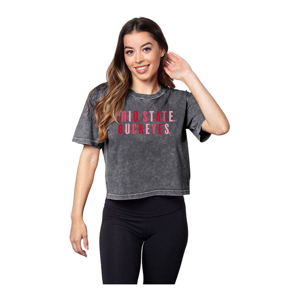 Ladies Ohio State Buckeyes Uppercase Multi Sans Short Sleeve - In Gray - Front View