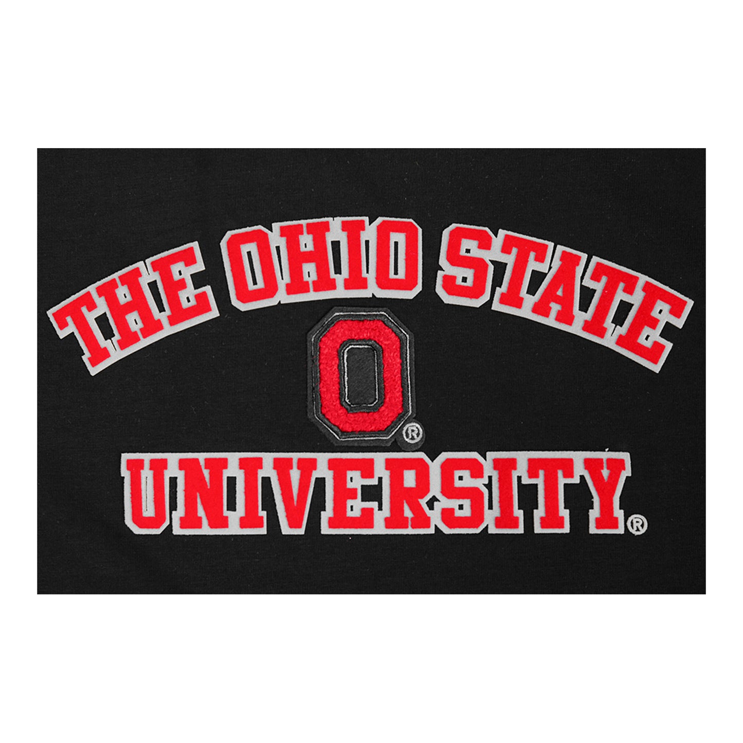 Ladies Ohio State Buckeyes Pro Standard Wordmark T-Shirt - Up Close Front View