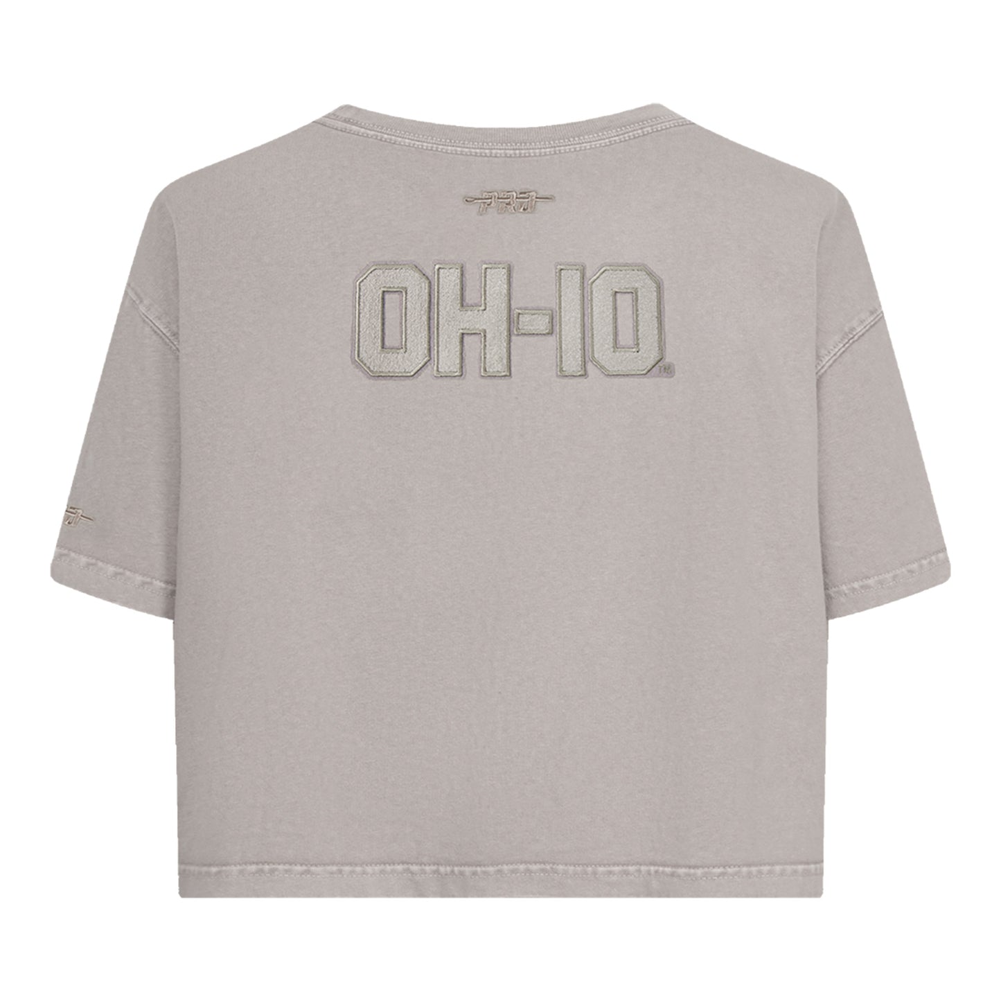 Ladies Ohio State Buckeyes Prostandard Washed T-Shirt In Gray - Back View