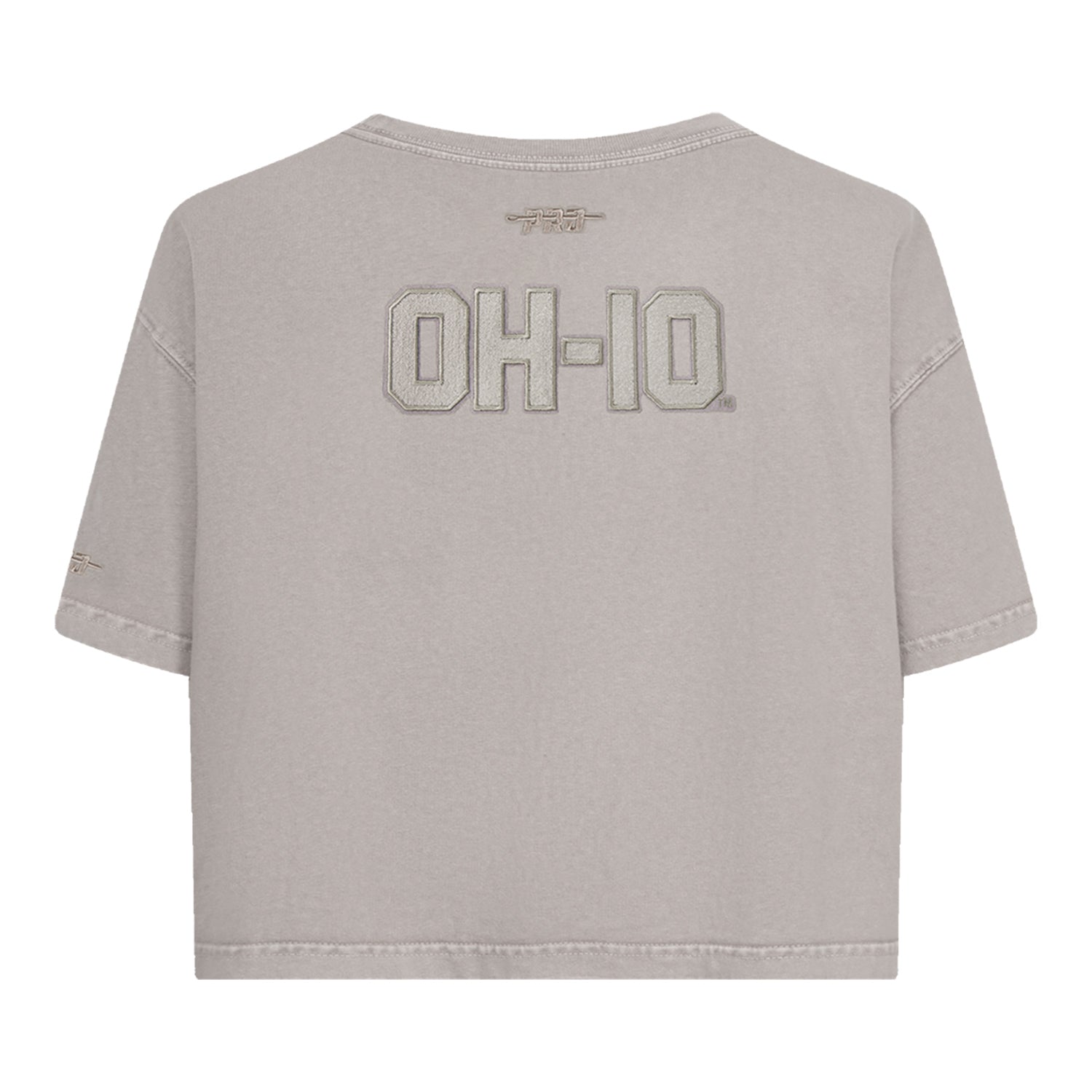 Ladies Ohio State Buckeyes Prostandard Washed T-Shirt In Gray - Back View
