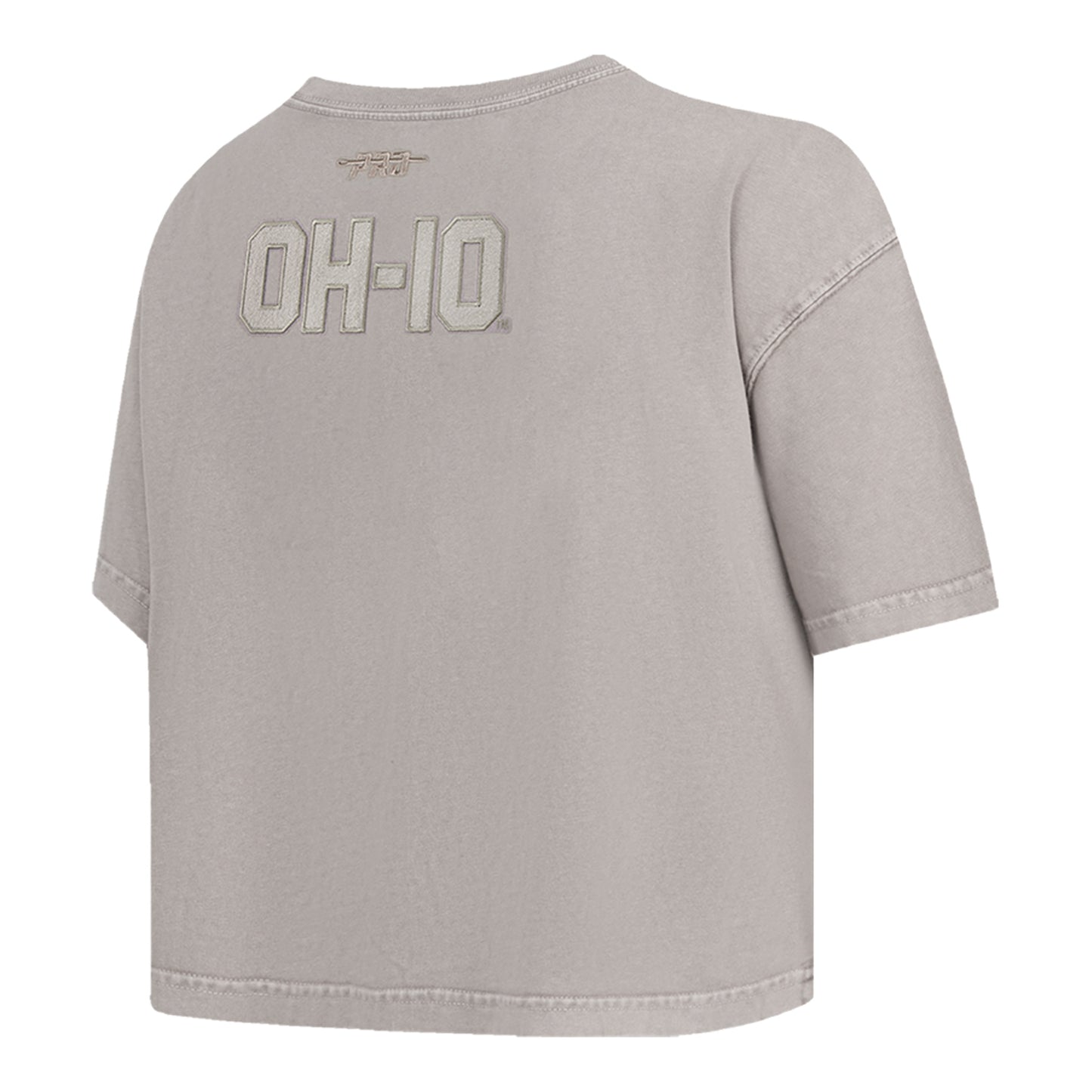 Ladies Ohio State Buckeyes Prostandard Washed T-Shirt In Gray - Back Side View