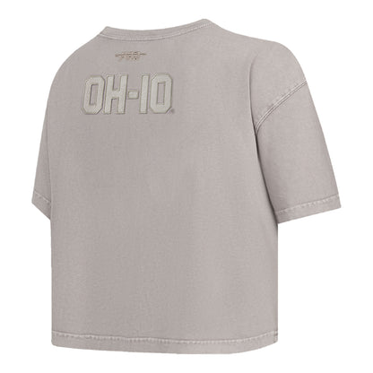 Ladies Ohio State Buckeyes Prostandard Washed T-Shirt In Gray - Back Side View