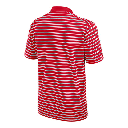 Ohio State Buckeyes Nike Striped Athletic Polo - Back