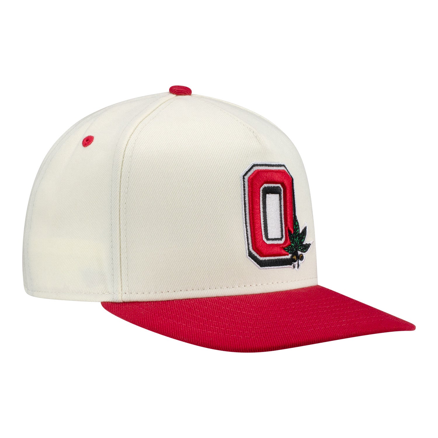 Ohio State Buckeyes New Era Two-Tone 950AF Snapback - Front Right View