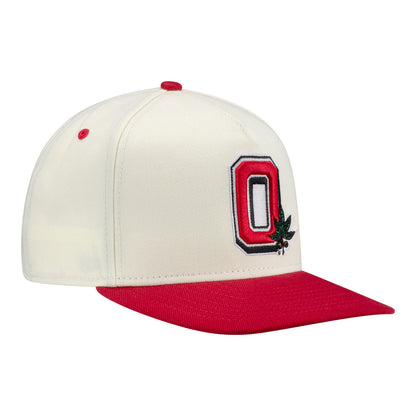 Ohio State Buckeyes New Era Two-Tone 950AF Snapback - Front Right View