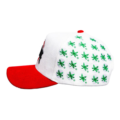 Ohio State Woodn Grail Two-Tone Helmet Sticker Snapback - Left Side View