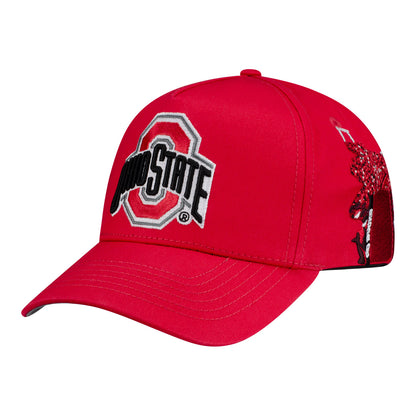 Ohio State Woodn Grail Stadium Art Snapback