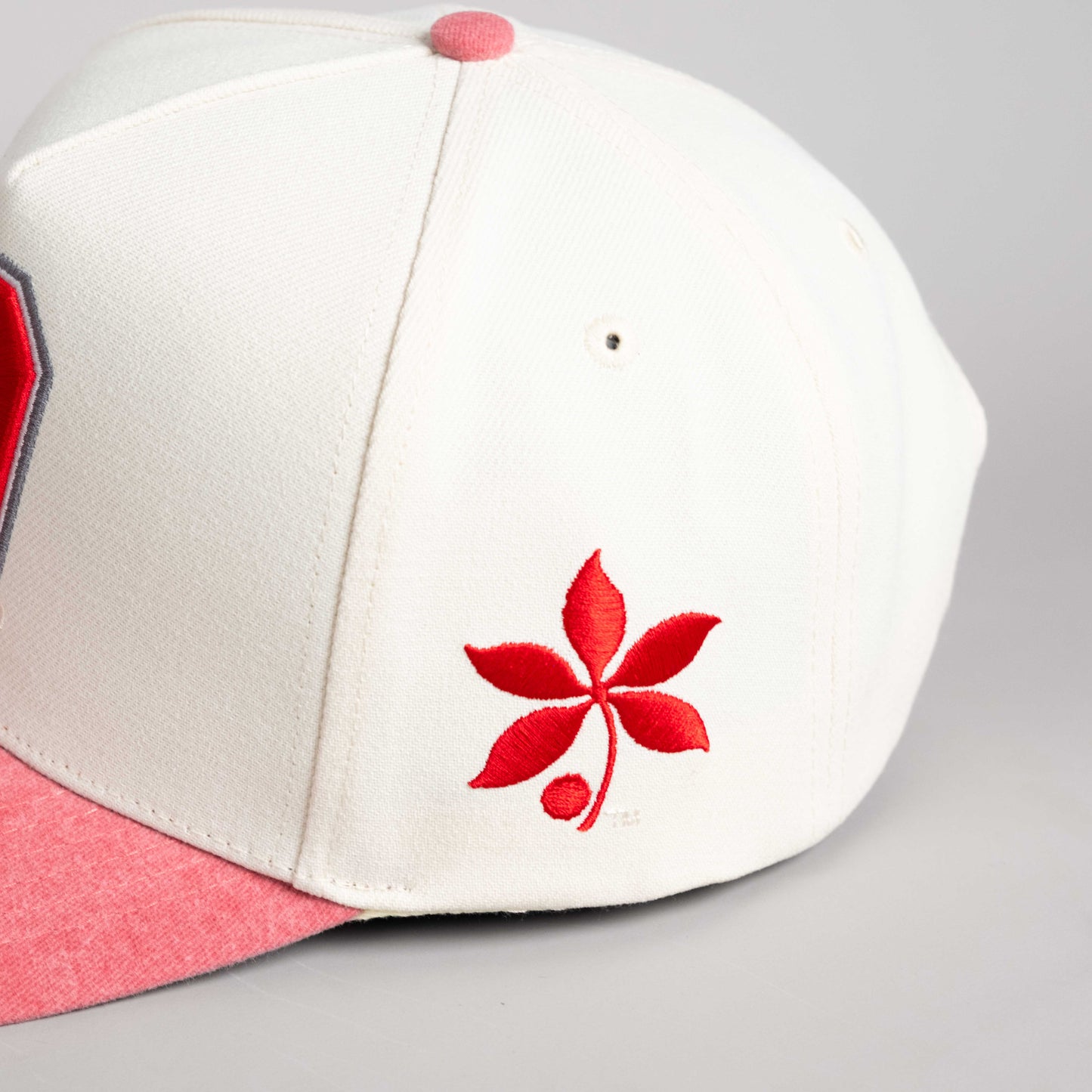 Ohio State Woodn Grail Sun Fade Two-Tone Snapback