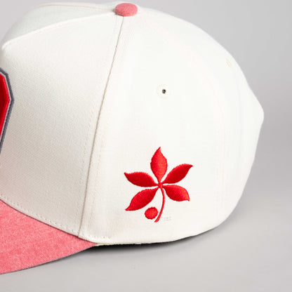 Ohio State Woodn Grail Sun Fade Two-Tone Snapback