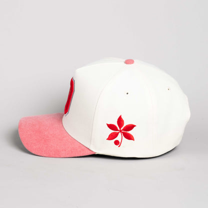 Ohio State Woodn Grail Sun Fade Two-Tone Snapback