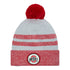 Ohio State Buckeyes Patch Gray Knit Hat - In Gray - Front View