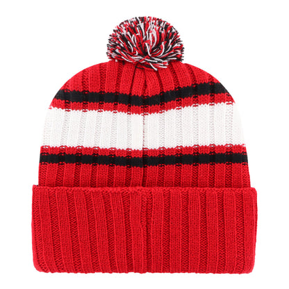 Ohio State Buckeyes Pleateau Stripe Cuff Pom Knit Hat - Back View