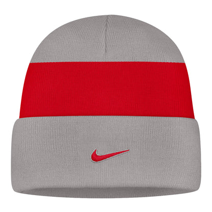 Ohio State Buckeyes Nike Primetime Stripe Knit - BAck View