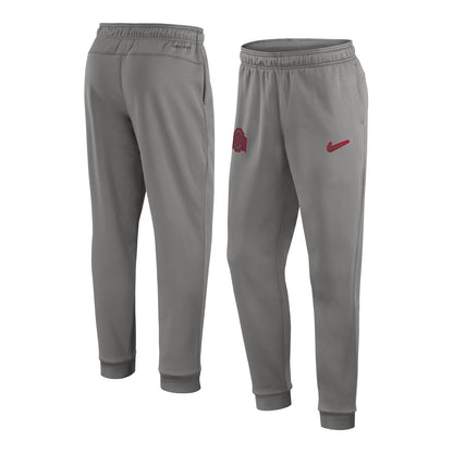 Ohio State Buckeyes Nike Sideline Player Gray Pants - Multi View