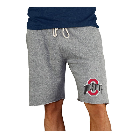Ohio State Buckeyes Concepts Sport Mainstream Shorts