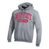 Ohio State Buckeyes Pill Print Arch Powerblend Gray Hood - In Gray - Front View