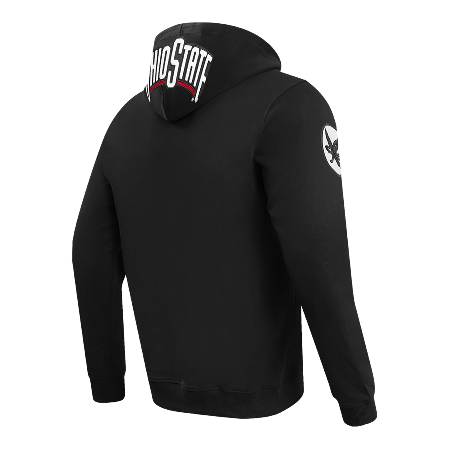 Ohio State Buckeyes Pro Standard Multi Logo Sweatshirt - Back View