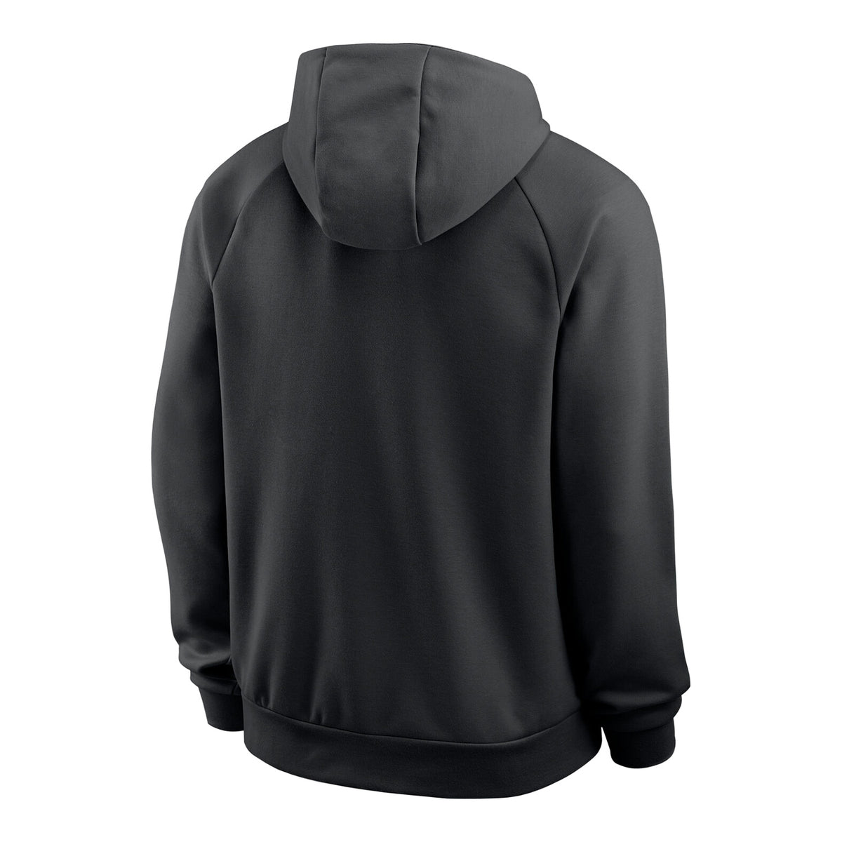 Ohio State Buckeyes Nike Dri-FIT Wordmark Hoodie - Back view