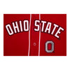 Ohio State Buckeyes Pro Standard Buttondown Baseball Jersey - Up Close Front View