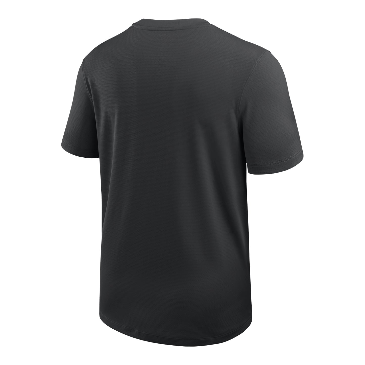 Ohio State Buckeyes Nike Coach's UV T-Shirt - Back