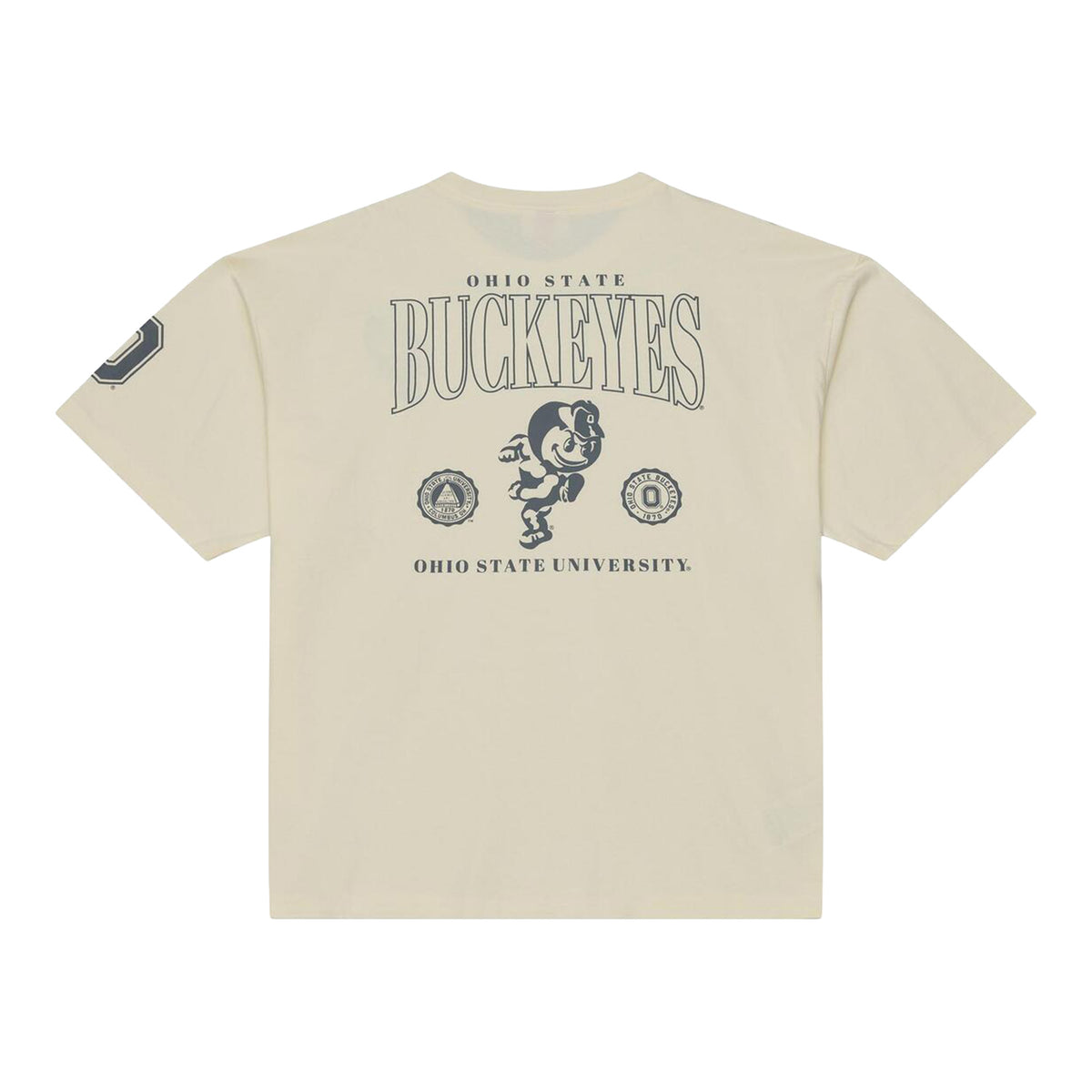 Ohio State Buckeyes M&N Heritage Oversized T-Shirt - Back