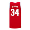 Ohio State Buckeyes Nike Basketball Student Athlete #34 Felix Okpara Scarlet Jersey - Back View